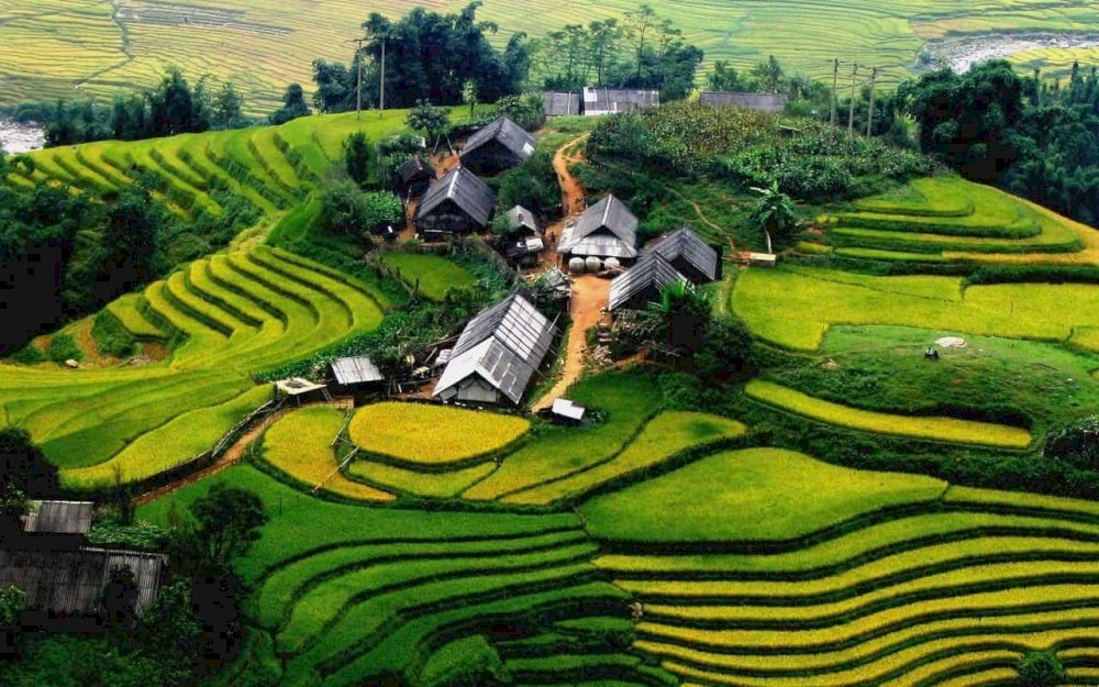 Simple wooden houses, peaceful fields in Ta Phin Village